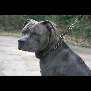 Meet your Posher, Vito